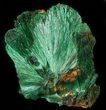 Silky, Fibrous Malachite Crystals - Morocco #42067-1